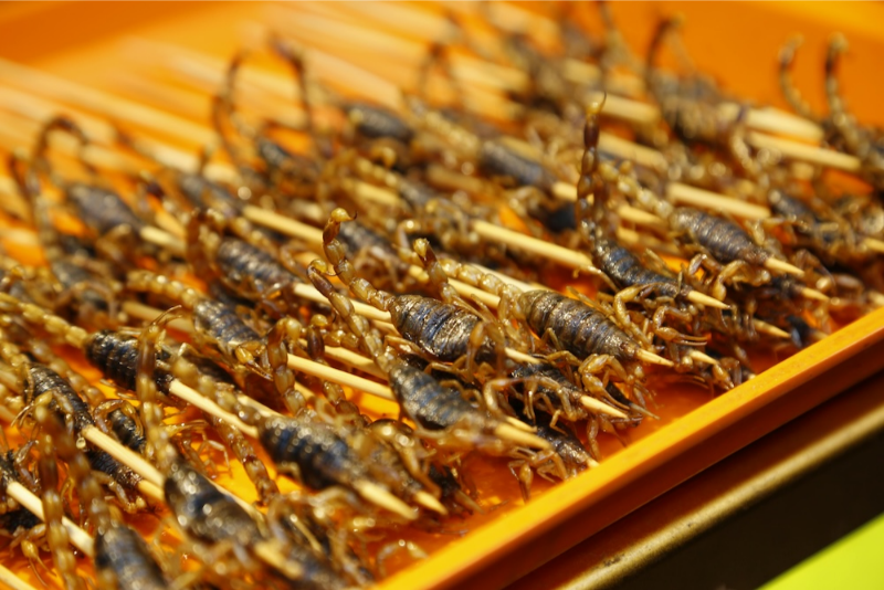 Fried Insects 