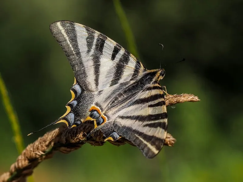 Natures Hidden Treasures in Kampot 1