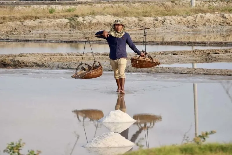 Salt fields