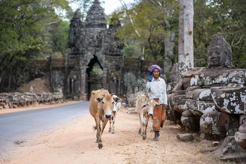 Understanding and Honouring Khmer Culture