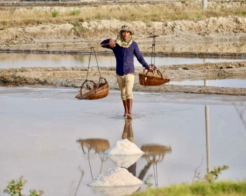 Visit the Salt Fields